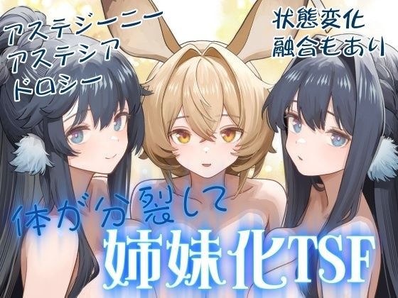 体が分裂して姉妹化TSF メイン画像
