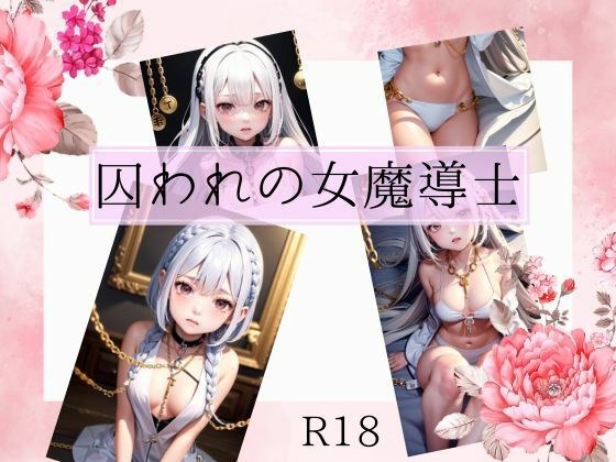 囚われの女魔導士 メイン画像