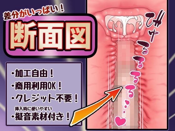 差分がいっぱい！断面図 メイン画像