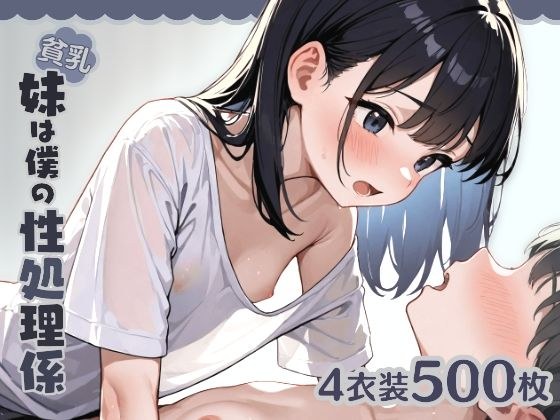 貧乳妹は僕の性処理係1 メイン画像