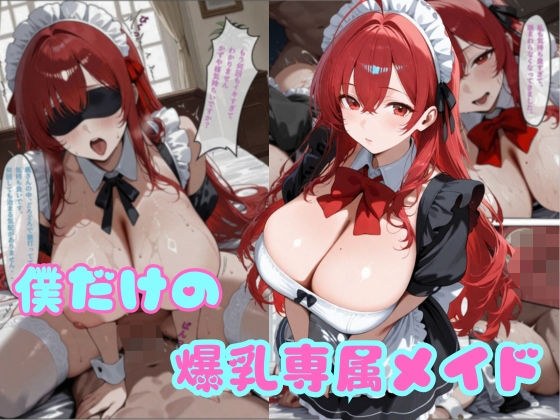 我唯一的大胸女仆 メイン画像