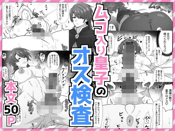 ムコ入り皇子のオス検査 メイン画像