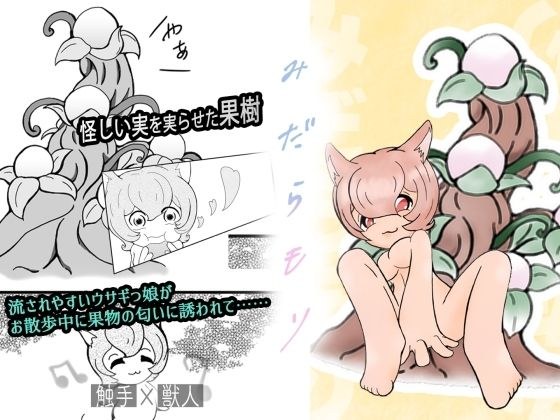 みだらもり メイン画像