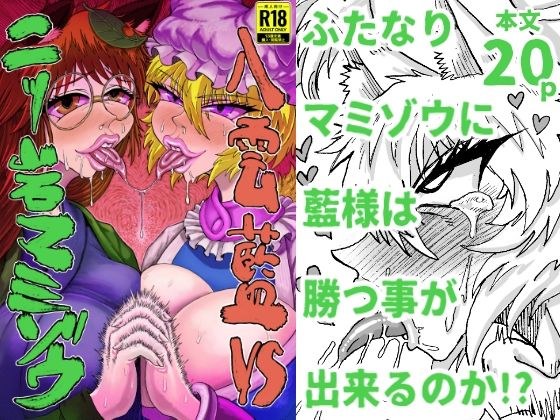 八雲藍VS二ッ岩マミゾウ メイン画像