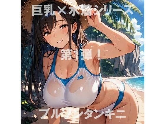 巨乳×水着シリーズ vol.1 メイン画像