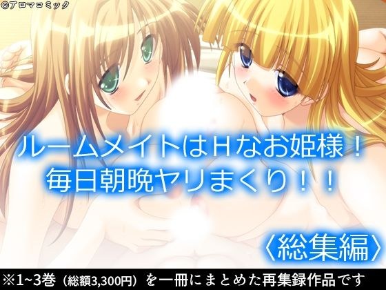 ルームメイトはHなお姫様！毎日朝晩ヤリまくり！！  ＜総集編＞ メイン画像