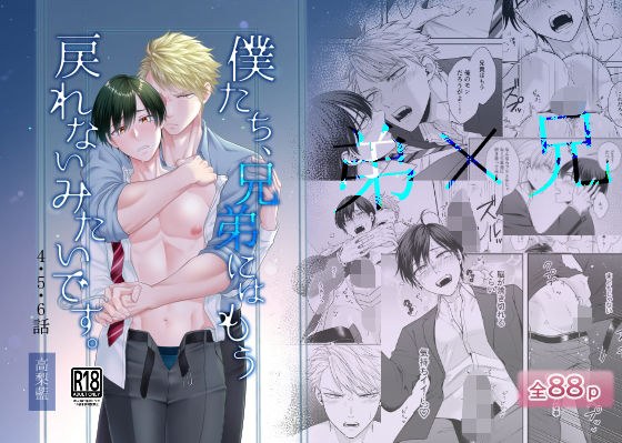 僕たち、兄弟にはもう戻れないみたいです。4・5・6話 メイン画像