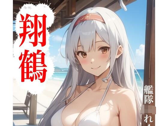 虹かけ誌  艦隊〇れくしょん  イラスト集27 翔鶴 メイン画像