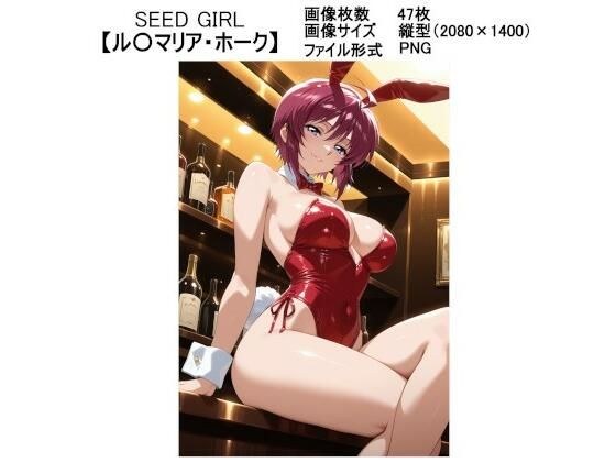 SEED GIRL【ルナマ〇ア・ホーク】 メイン画像