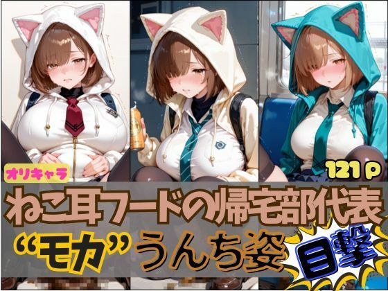 ☆オリキャラ☆【121枚】ねこ耳フードの帰宅部代表’モカ’のおもらしCG集 メイン画像