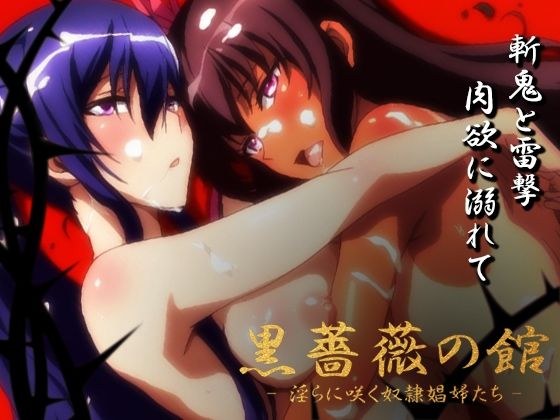 【対魔忍】黒薔薇の館 -淫らに咲く奴●娼婦たち- Vol.01 水城ゆ〇かぜ・秋〇凛子編 メイン画像