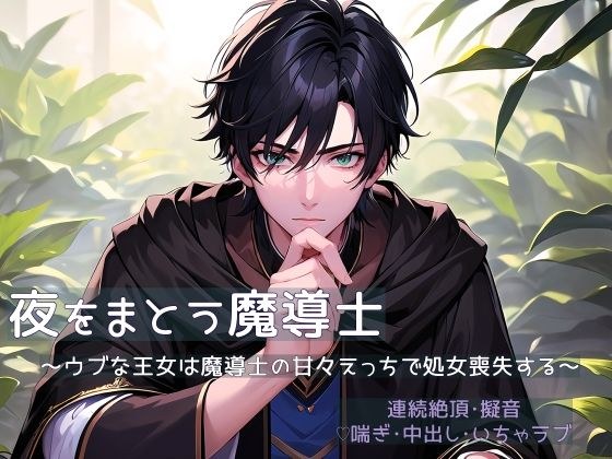 夜をまとう魔導士 〜ウブな王女は魔導士の甘々えっちで処女喪失する〜 メイン画像
