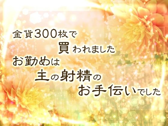 金貨300枚で買われました。お勤めは主の射精のお手伝いでした。 メイン画像