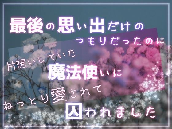 最後の思い出だけのつもりだったのに片想いしていた魔法使いにねっとり愛されて囚われました メイン画像