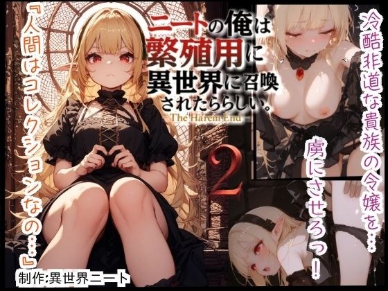ニートの俺は繁殖用に異世界に召喚されたらしい。〜The Harem End〜  2 メイン画像