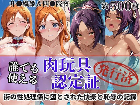 肉玩具認定証発行！！街の性処理係堕ち。―快楽と恥辱の記録―井●織姫＆四●院夜一編 メイン画像