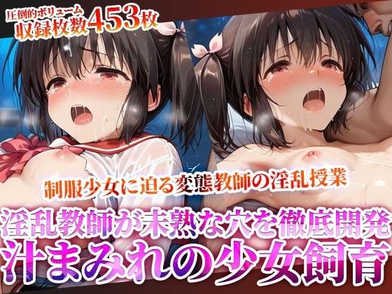 妹系の制服少女に迫る禁断の所業！未熟な穴を開発しながら少女を徹底飼育する変態教師の淫乱授業！ メイン画像