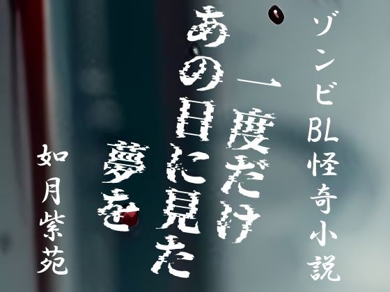一度だけあの日に見た夢を メイン画像