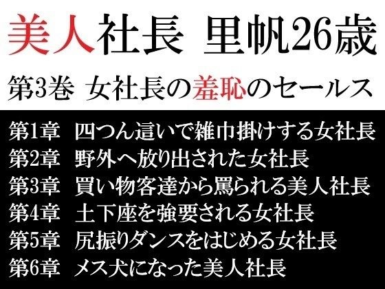 美人社長 里帆26歳 第3巻 女社長の羞恥のセールス メイン画像