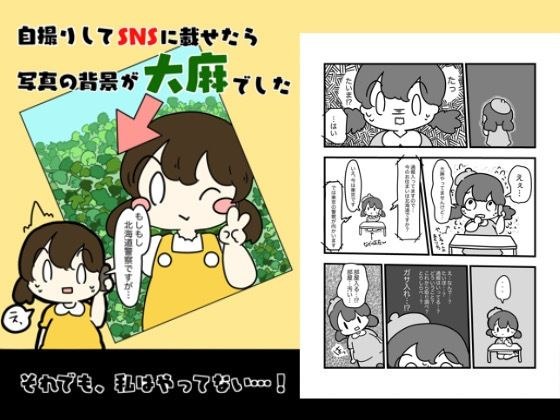 自撮りしてSNSにのせたら写真の背景大麻だった話 メイン画像