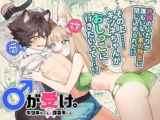 ♂が受け。キツネちゃん×タヌキくん メイン画像