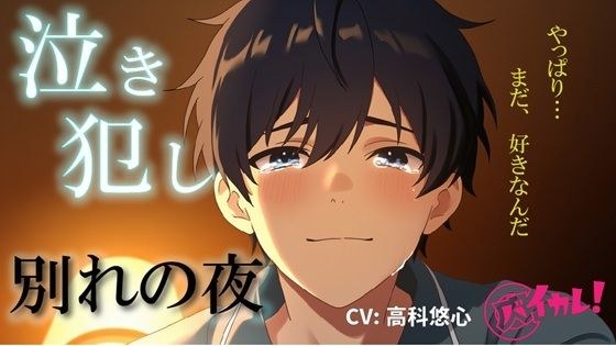 泣き犯し〜 同棲解除日記 ― 最後の夜、僕たちは涙を流しながら身体を重ねた 〜 ASMR/バイノーラル/泣きエッチ/カップル/日常/別れ/感動/あまあま/中出し メイン画像