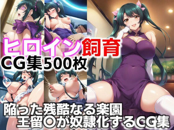 ヒロイン飼育  陥った残酷なる楽園  王留〇が奴●化するCG集 メイン画像