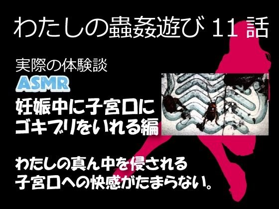 わたしの蟲姦遊び 第11話 妊娠中、子宮口にゴキブリを入れる編 音声（ASMR） メイン画像