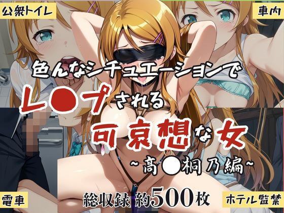 超絶不幸〜色んなシチュエーションでレ●プされる可哀想な女〜高●桐乃編 メイン画像