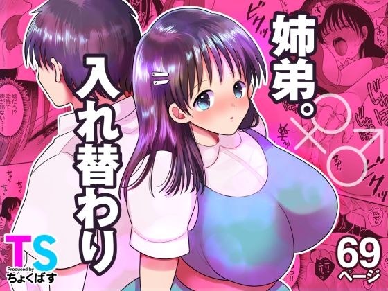 姉弟。入れ替わり メイン画像