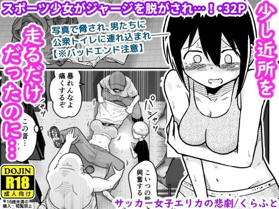 サッカー女子エリカの悲劇 メイン画像