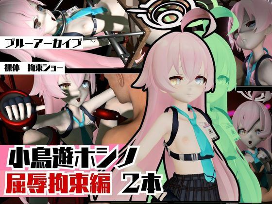 ブルーアーカイブの小鳥遊ホシノ生誕祭、誕生日ということで拘束調教動画2本セット！ メイン画像