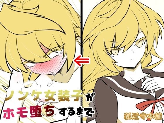 ノンケ女装子がホモ堕ちするまで4 メイン画像