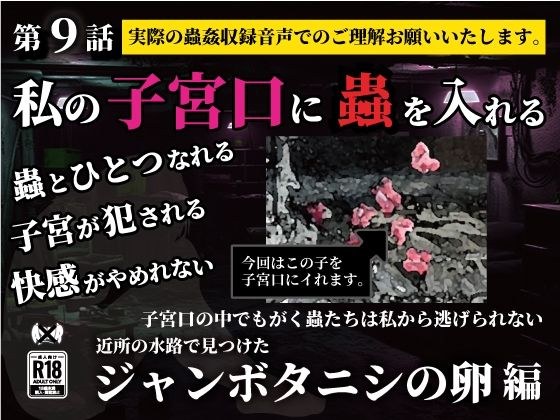 私の子宮口の中に蟲を入れる 第9話 近所の水路で見つけたジャンボタニシの卵編 メイン画像