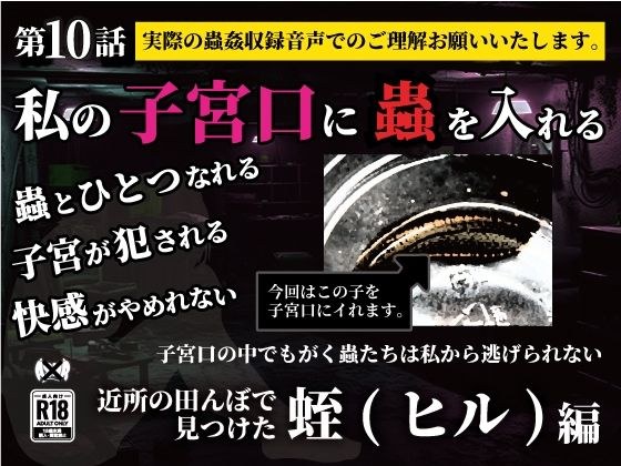 私の子宮口の中に蟲を入れる 第10話 近所の田んぼで見つけた蛭（ヒル）編 メイン画像