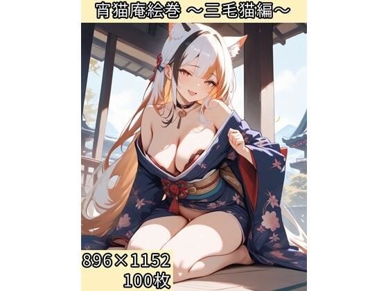 宵猫庵絵巻 〜三毛猫編〜 メイン画像