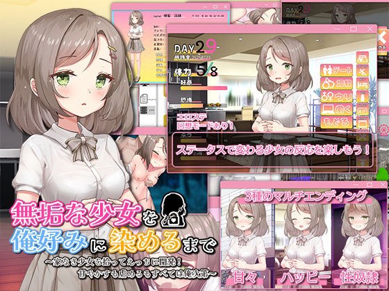 無垢な少女を俺好みに染めるまで〜家なき少女を拾ってえっちに開発！ 甘やかすも虐めるもすべては俺次第〜 メイン画像
