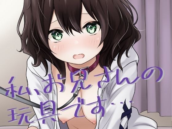 私、お兄さんの玩具です… メイン画像