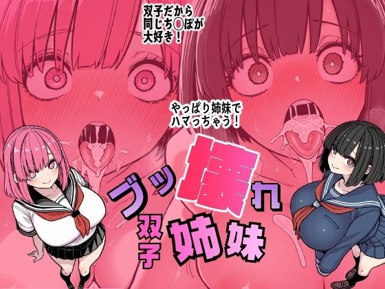 ブッ壊れ双子姉妹 メイン画像