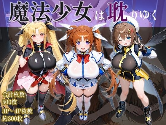 魔法少女は耽りゆく メイン画像