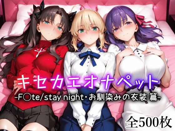 キセカエオナペット -F◯te stay night・お馴染みの衣装篇- メイン画像