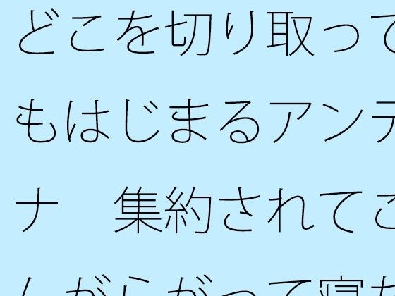 どこを切り取ってもはじまるアンテナ  集約されてこんがらがって寝た昨夜から朝 メイン画像