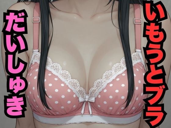 いもうとブラだいしゅき(453枚分)