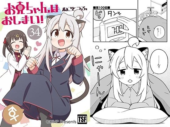 お兄ちゃんはおしまい！34 メイン画像