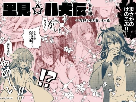 【里見☆八犬伝 番外編 〜毛野と小文吾、その後 〜】まんが16P メイン画像