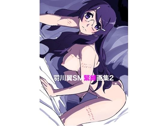 羽川翼SM緊縛画集2 メイン画像