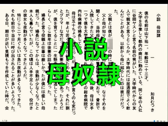小説  母奴● メイン画像