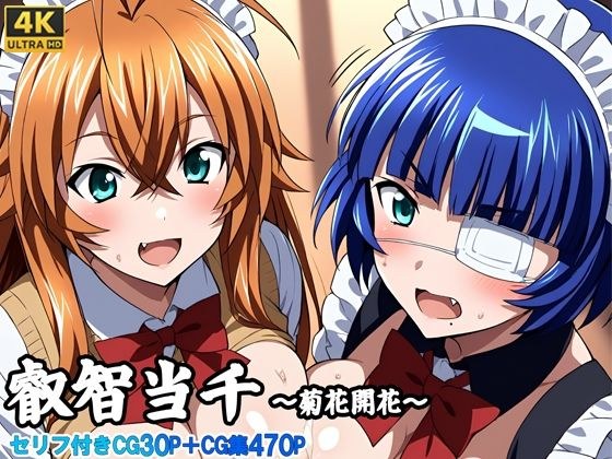 叡知当千〜菊花開花〜 メイン画像