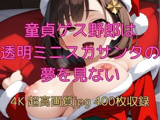 童貞ゲス野郎は透明ミニスカサンタの夢を見ない