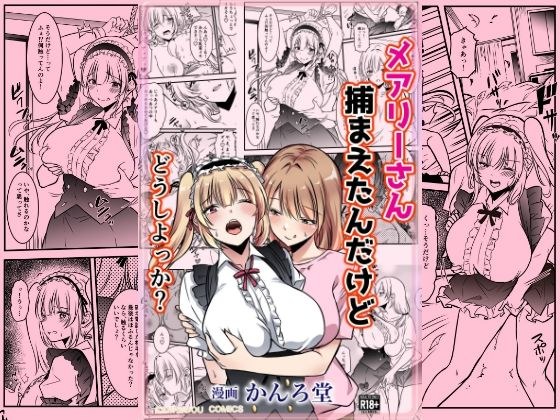 メアリーさん捕まえたんだけどどうしよっか？ メイン画像